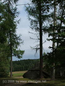 Blick nach Eibenstein